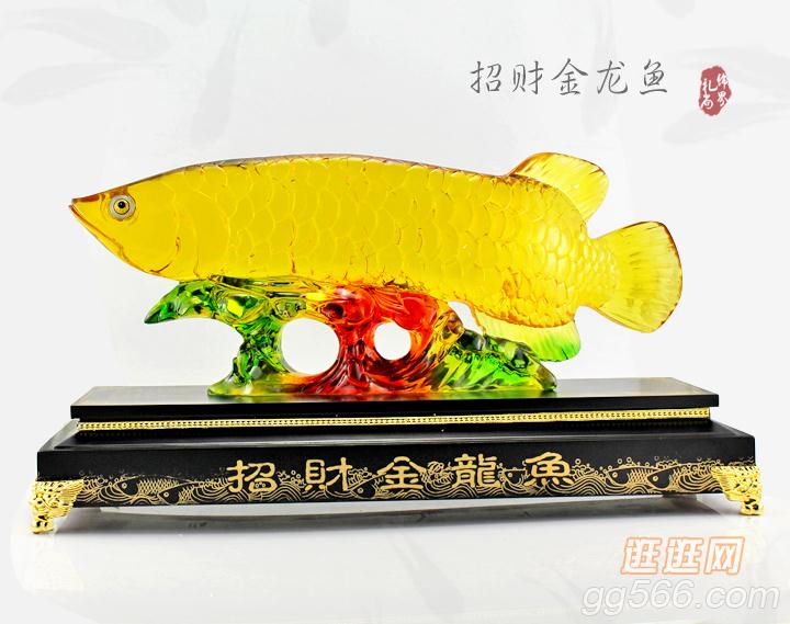 招财金龙鱼